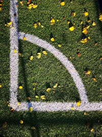 High angle view of corner marking on soccer field