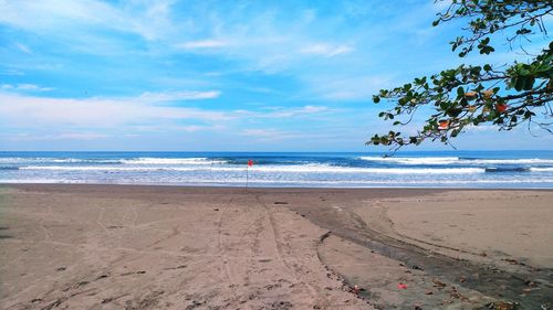 Scenic view of beach against sky