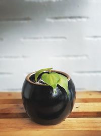 Close-up of fruit on table