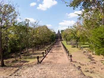 Footpath amidst trees against sky