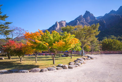 Scenic view of mountains against clear blue sky