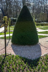 View of stone in garden