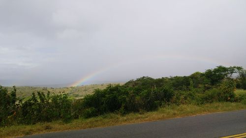 Scenic view of landscape against cloudy sky