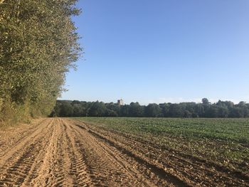 Scenic view of agricultural field against clear sky