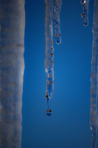 Close-up of icicles against clear blue sky