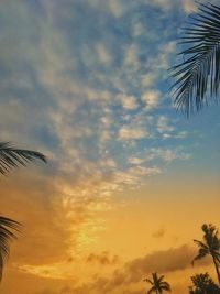 Low angle view of silhouette palm trees against sky during sunset