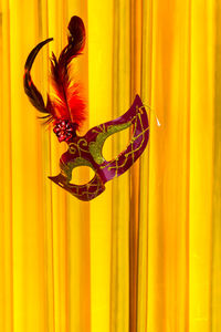 Close-up of orange feather on window