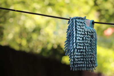 Close-up of bird perching on wire