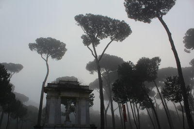 Low angle view of trees against sky
