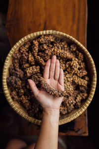 Close-up of woman holding food