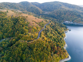 High angle view of trees and mountains