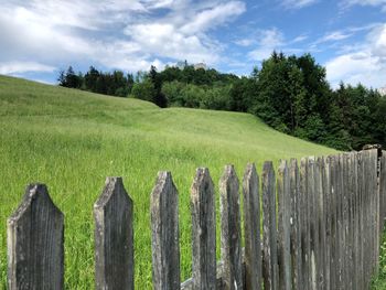 Scenic view of grassy field against sky