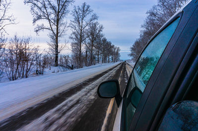 Road amidst bare trees