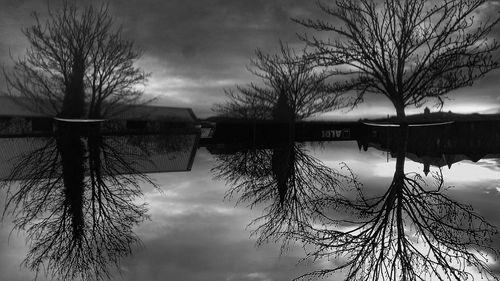 Bare trees by lake against cloudy sky at dusk