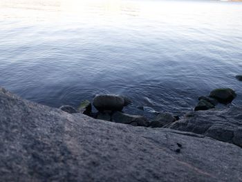 High angle view of rocks on beach