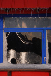 Close-up of red boat against window