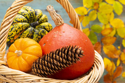 Close-up of pumpkin in basket