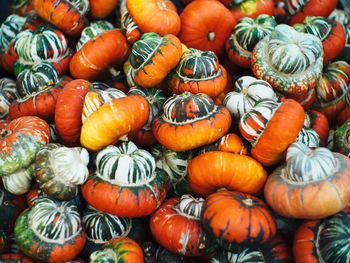 Full frame shot of food for sale