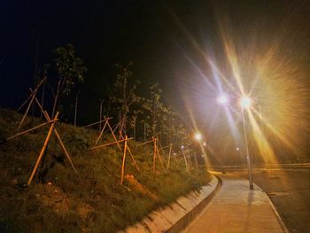 Illuminated trees against sky at night
