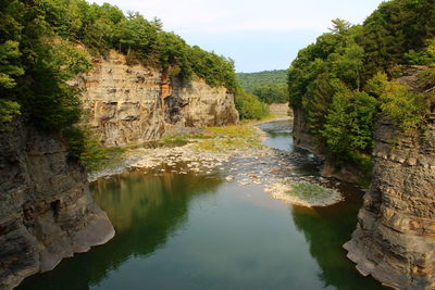 Scenic view of river amidst trees against sky