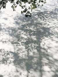 Low angle view of tree against sky