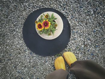 Low section of person standing by tire with potted plant on stones