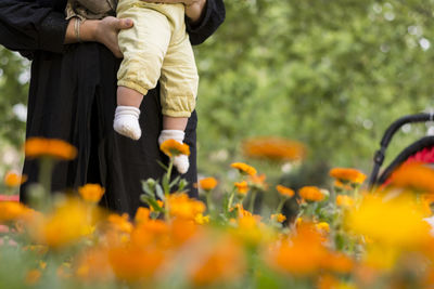 Rear view of people standing on yellow flowering plants