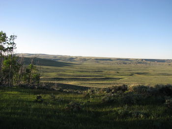 Scenic view of landscape against clear sky