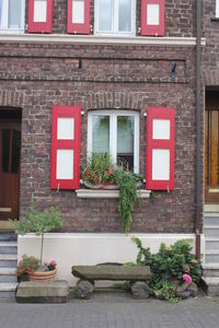 Potted plant on window of building