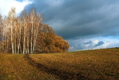 Scenic view of field against cloudy sky during autumn
