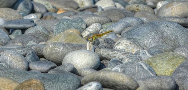 Close-up of pebbles on beach