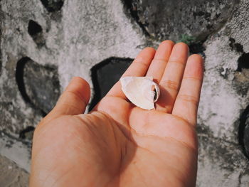 Close-up of hand holding rock