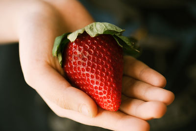 Cropped hand holding strawberry