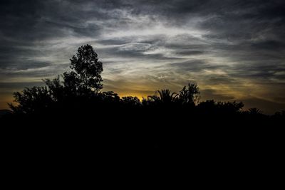 Silhouette trees against sky during sunset