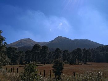 Scenic view of landscape and mountains against sky