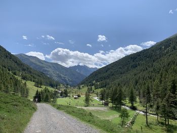 Summer hiking mountain road