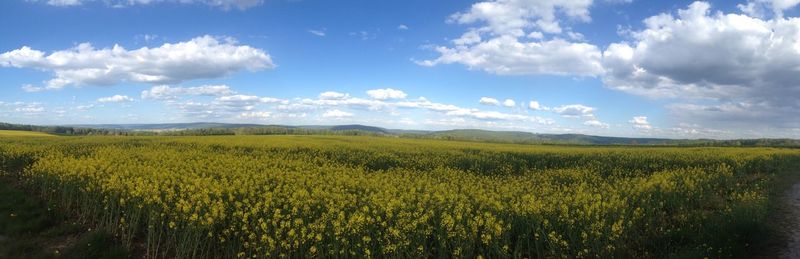 Scenic view of field against cloudy sky