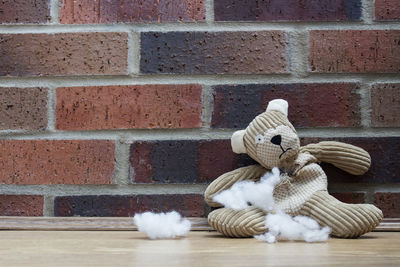 Close-up of teddy bear on wall