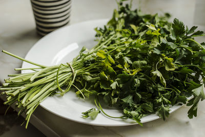 Parsley on a white porcelain place with two fresh tomatoes. aromatic herbs and red fruits