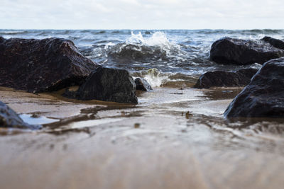 Surface level of rocks on beach against sky