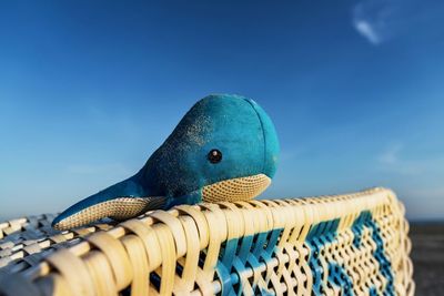 Close-up of lizard on beach against blue sky