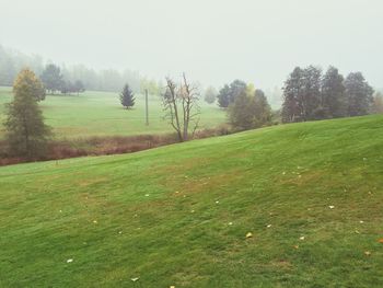 Scenic view of grassy field against sky