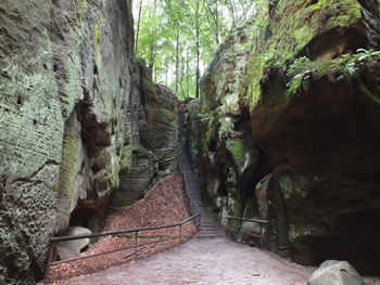 Footpath amidst rocks in forest