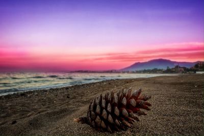 Scenic view of sea at sunset