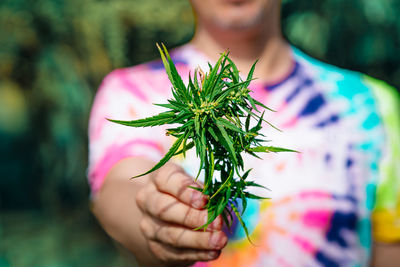 Person holding hemp plant