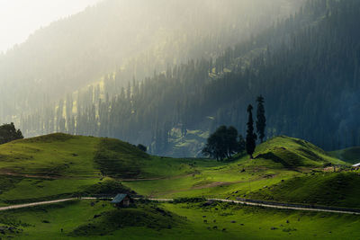 Panoramic shot of land