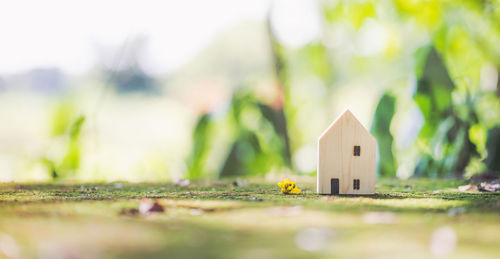 Close-up of small toy on field