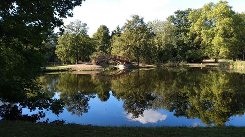 Scenic view of lake in forest against sky