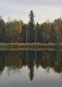 Reflection of trees in lake against sky