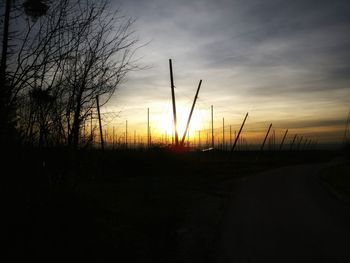 Silhouette plants on field against sky during sunset